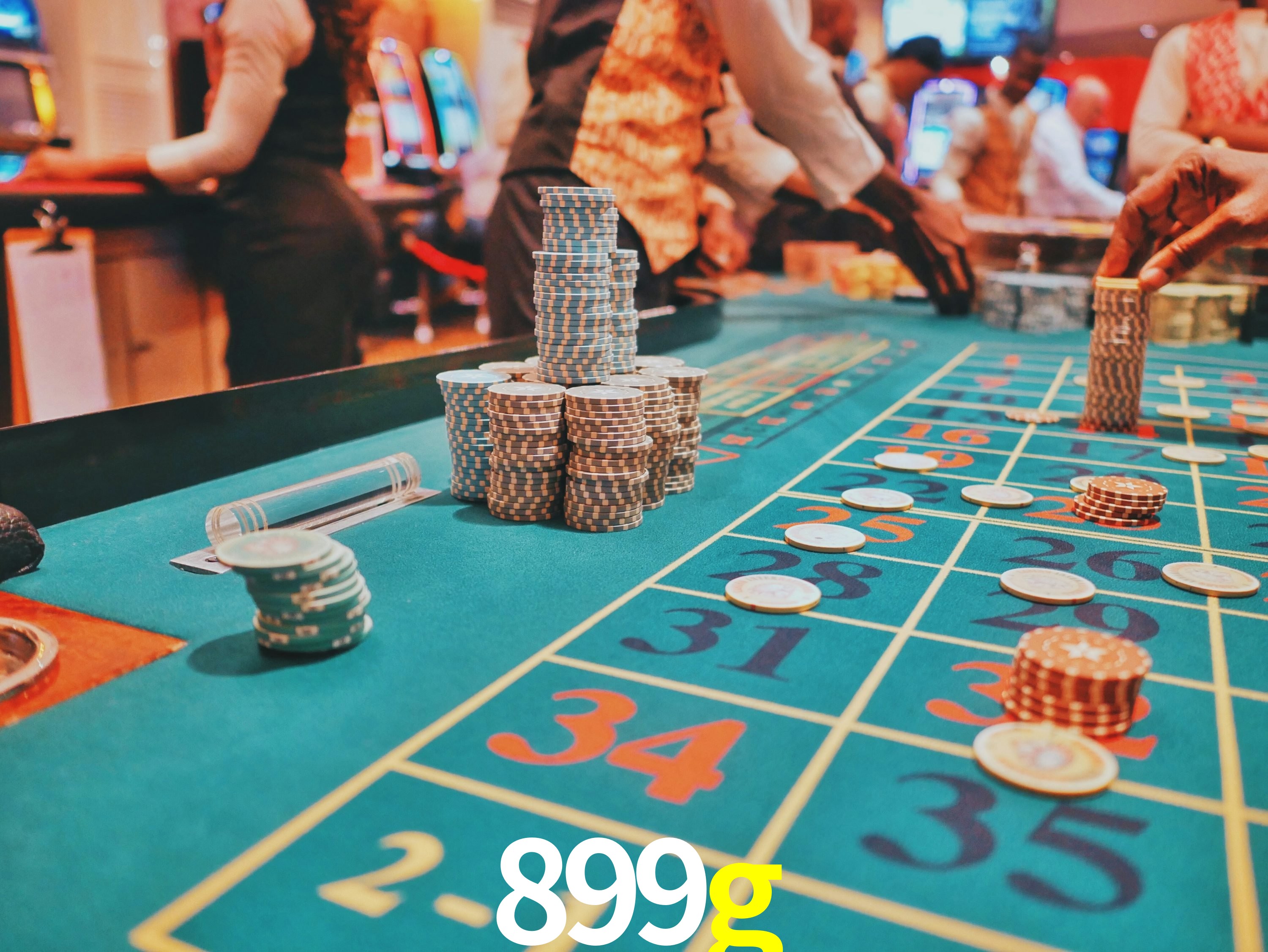 Sports Statistics 899g