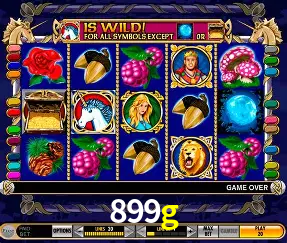 VIP Casino 899g